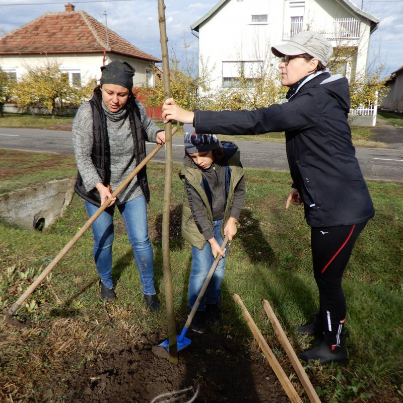 Közösségi faültetés Berettyóújfaluban 45